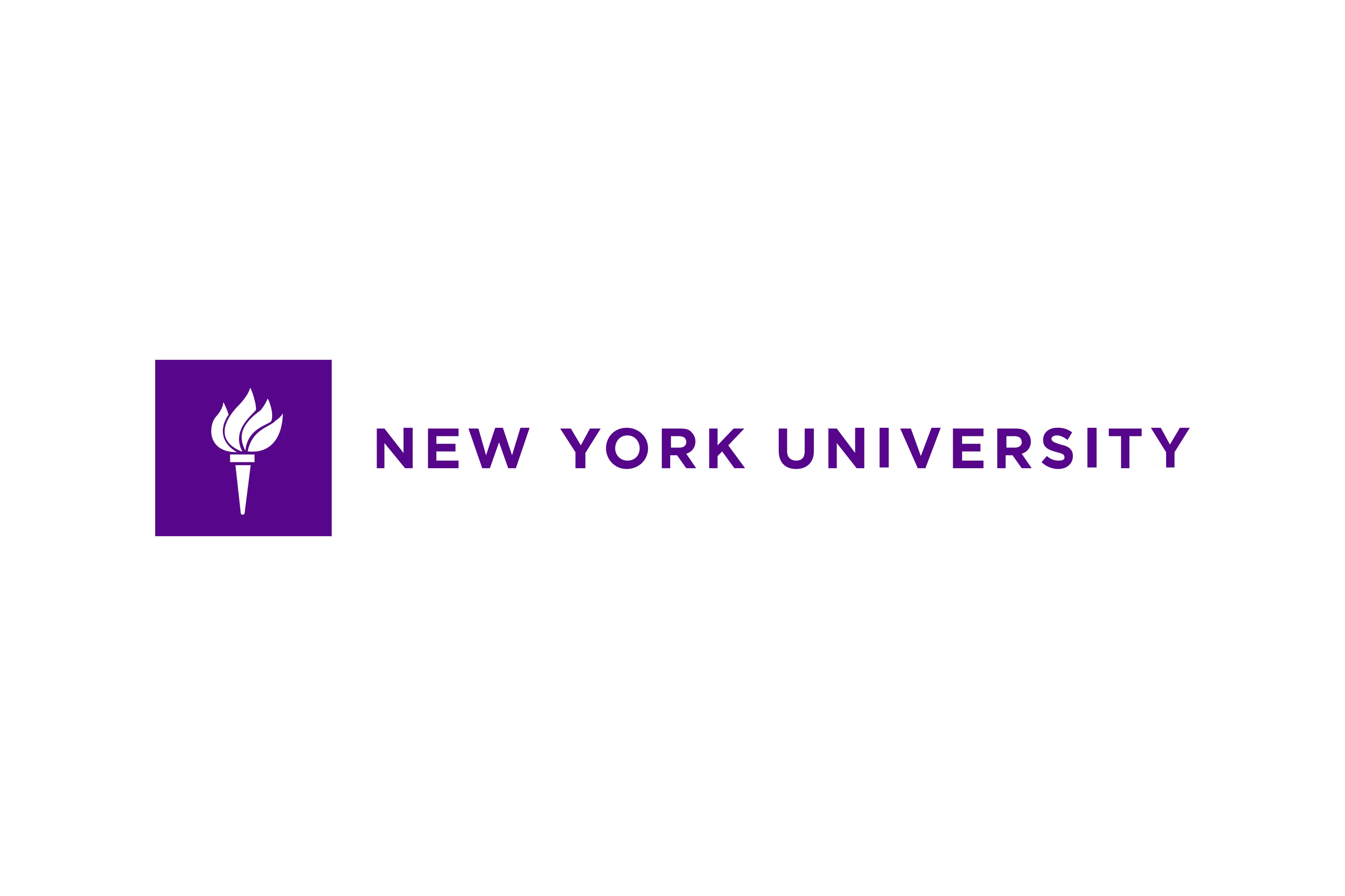 New York University